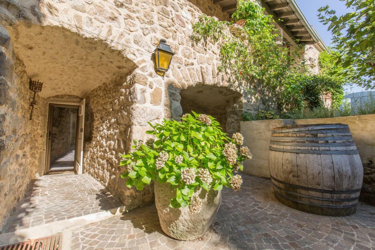 Les Hiboux Du Domaine Du Moulin Villa Etables  Екстериор снимка